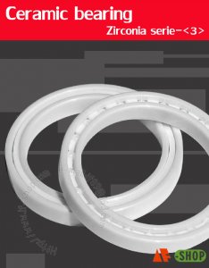 Ceramic bearing of zirconia (ZrO2)-series (3)